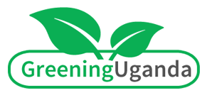 Greening Uganda