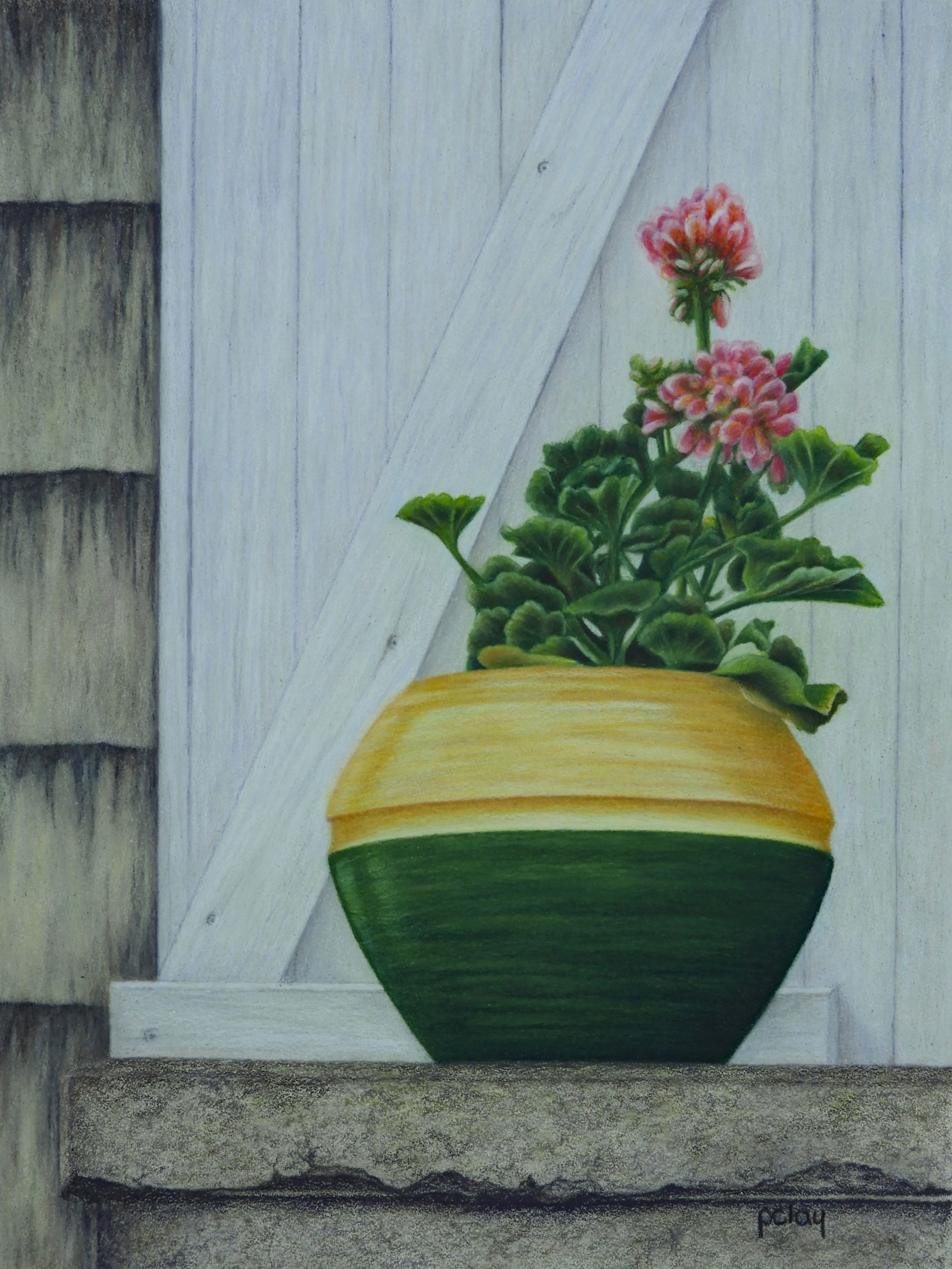 "Windowsill Geranium"