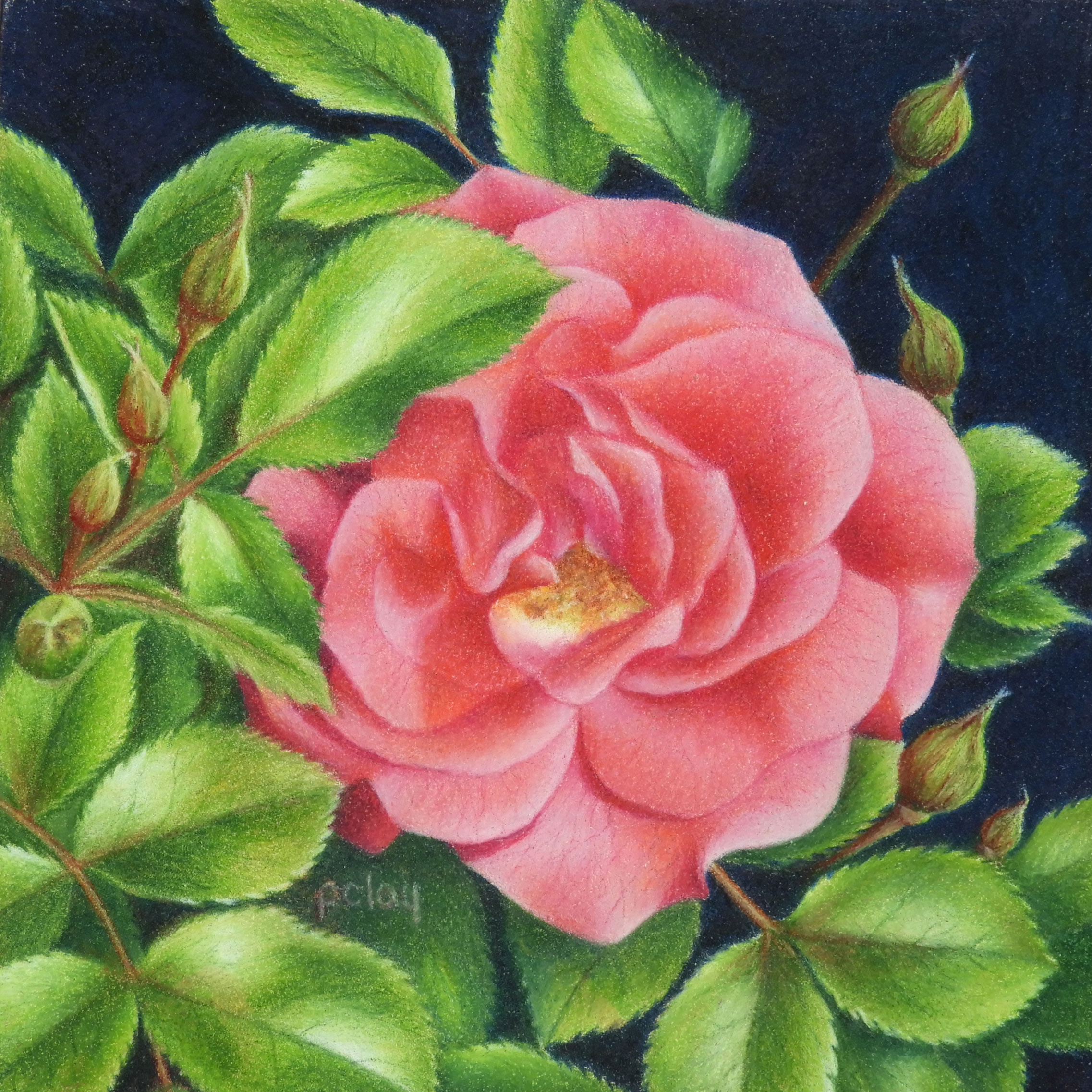 "Pretty in Pink"