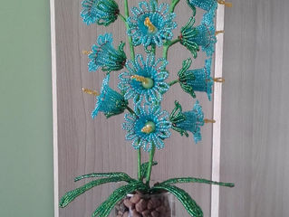 «Исчезающая красота»
«Всегда цветущая»