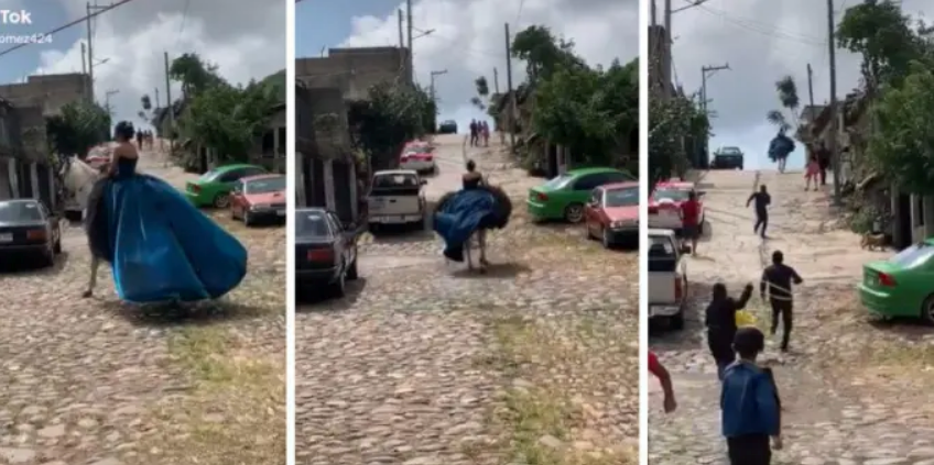 “Y se marchó”: Caballo ‘se da a la fuga’ con quinceañera y video se vuelve viral en redes