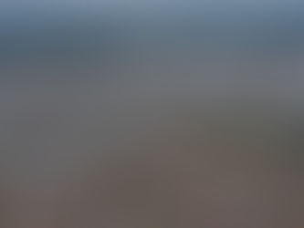 Por iniciativa de diputado, Villas del Pedregal iniciará su tramite para convertirse en municipio