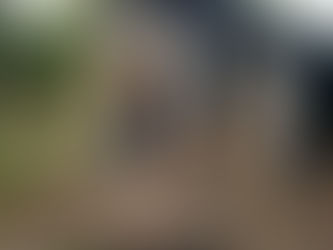 Difunden en redes entrenamiento táctico de grupos criminales que operan en Michoacán