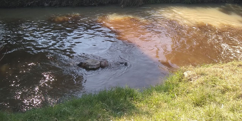 Localizan muerto en San Juanito Itzícuaro, Morelia