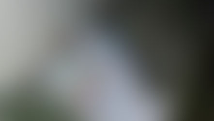 Buscan a señorita que abandonó a recién nacido en Cd. Jardín y que muri0 horas después