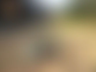 Macabro Hallazgo en Lombardía: 2 cuerpos descuartizados con narcomensaje