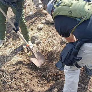 Gobierno y colectivos continúan en la búsqueda personas desaparecidas en Michoacán 