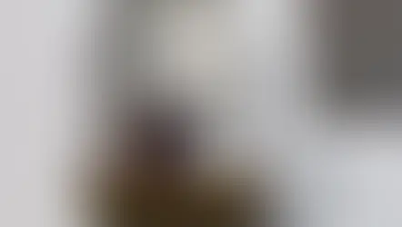 España: Ya entró en vigor la Ley de Bienestar Animal prohíbe que gatos y perros vivan en balcones o terrazas