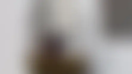 España: Ya entró en vigor la Ley de Bienestar Animal prohíbe que gatos y perros vivan en balcones o terrazas