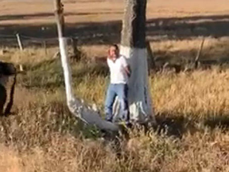 🚨 Publican video de asesinato de sobrino de Joan Sebastián 🚨