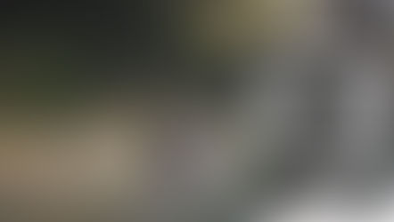 México: Salió de trabajar y no volvió: asesinan a Dominga, vendedora de cemitas de 82 años