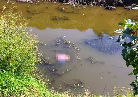 Michoacán: Encuentran brazos y piernas flotando en un río