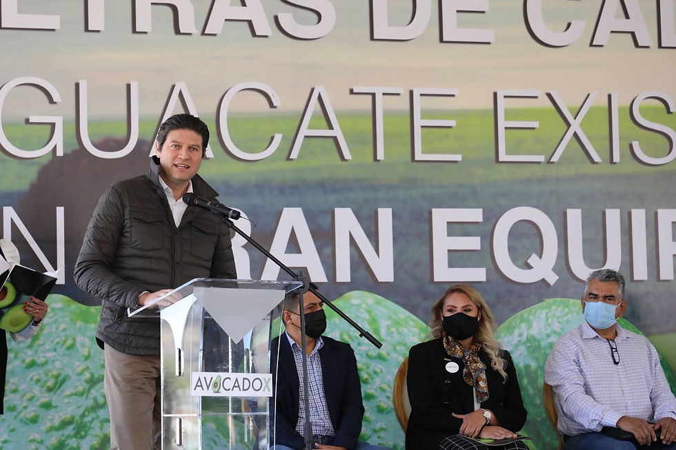 Para que haya más inversión debe hacerse valer el Estado de Derecho: Alfonso Martínez
