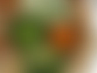 Llega Tacofest 2022 en la primera semana de noviembre