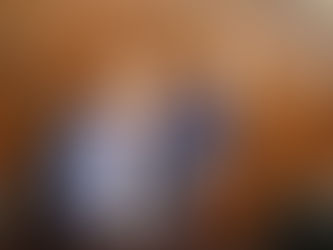 PT dio su voto aprobatorio al presupuesto, cumplirá también con vigilar el correcto uso de los recursos: Reyes Galindo