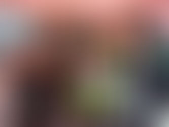 Marea verde conquista el distrito 11 local - Análisis Emprendedorpolitico.com