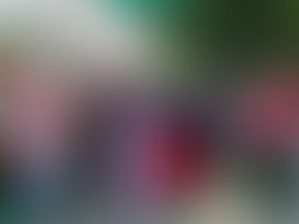 Legisladora María Chávez gestiona apoyos alimentarios a mujeres de la Nueva Jerusalén