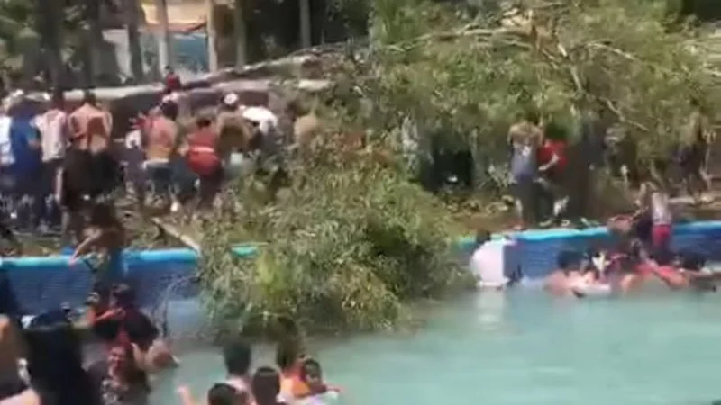 Video: Cae un árbol sobre visitantes de balneario en Silao; muere un bebé de 11 meses