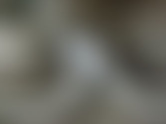 Hallan las primeras trampas para mamut de todo el mundo en Tutltepec