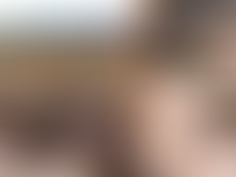 Bisontes vistos en planicies mexicanas tras 100 años de ausencia (+Video)