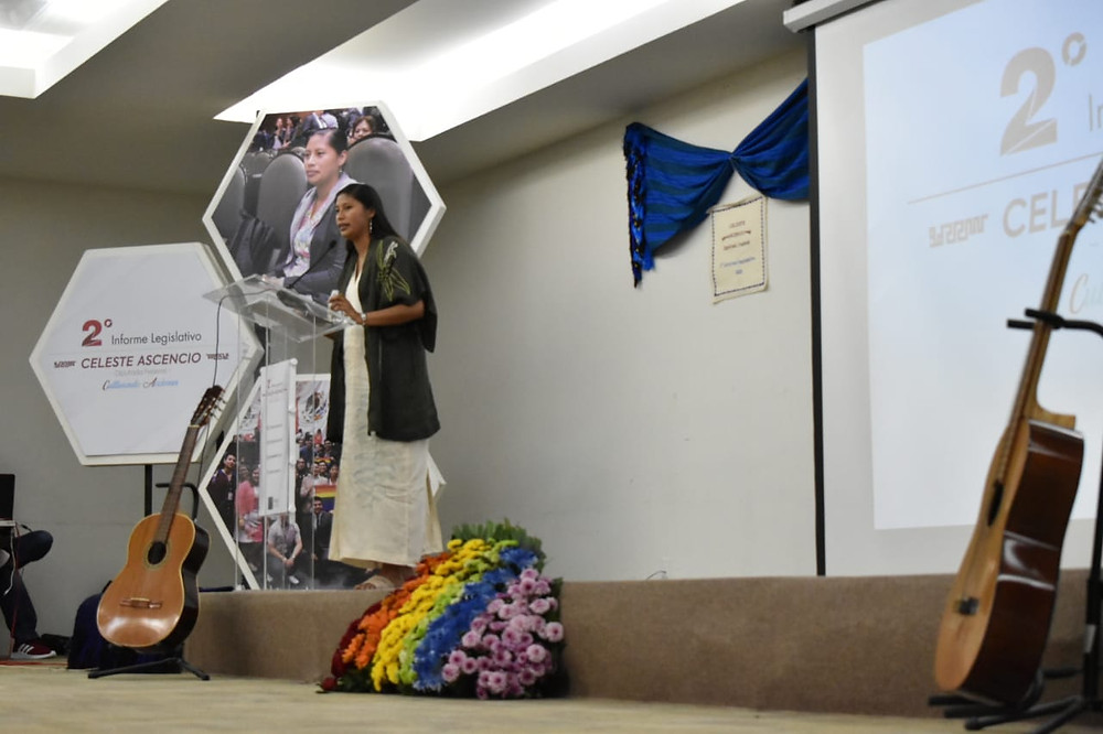Mi compromiso es mantenerme cerca de las necesidades de la ciudadanía: Celeste Ascencio