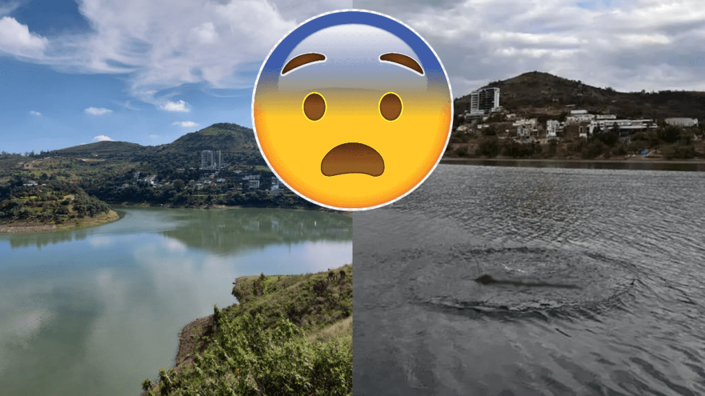 ¿Dinosaurio en presa de Atizapán? Esta es la historia del “avistamiento”