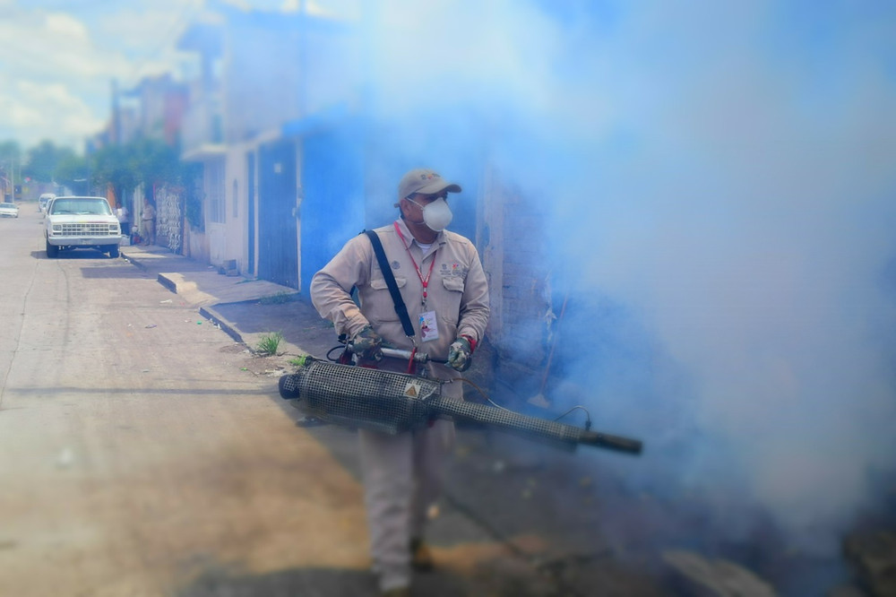 Ya hay un caso de "Covidengue" en Morelia; estas son las recomendaciones para la población