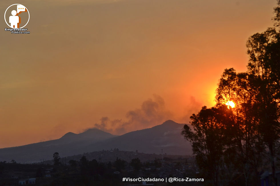 Realizarán consultas para establecer áreas naturales protegidas en el Cerro del Águila y el Quinceo