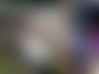 El Payaso jefe de plaza de la Familia Michoacana entre los 11 gatilleros muertos en Texcaltitlán