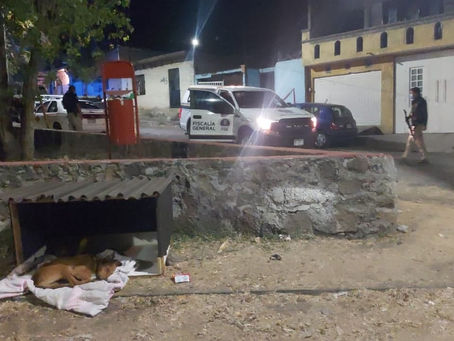 Asesinan a una persona en el interior de un domicilio en la colonia Jesús Romero Flores, Morelia