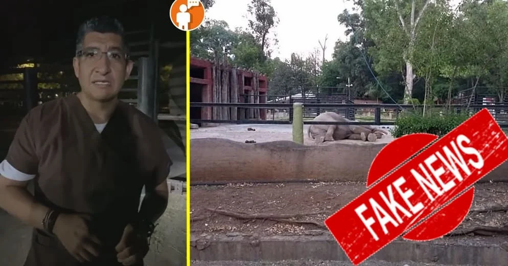 Zoológico de Morelia desmiente muerte de elefante asiático