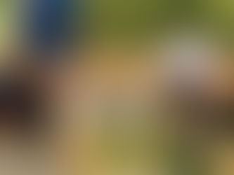Muchacha salva a niño de su violador; somete y amarra al criminal y ya se encuentra encarcelado