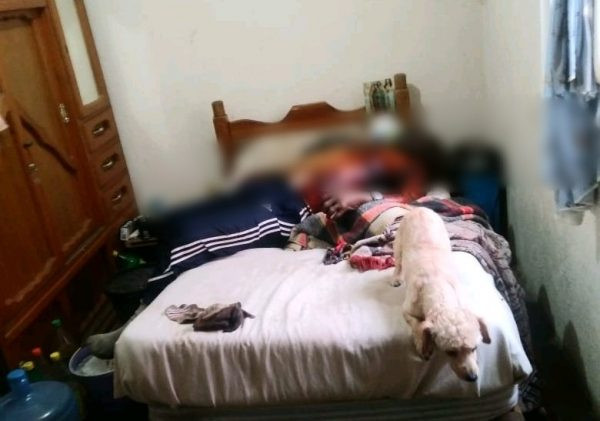 Hombre llevaba días de muerto en su casa, en Villas del Pedregal