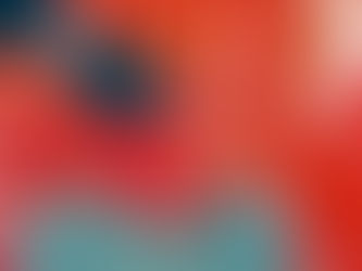 Filtran video donde acusan a estos 2 diputados de votar doble en terna por la CEDH 