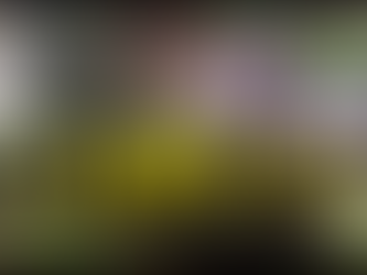 Guanajuato: Hombres armados matan a niño de 10 años y a su perro