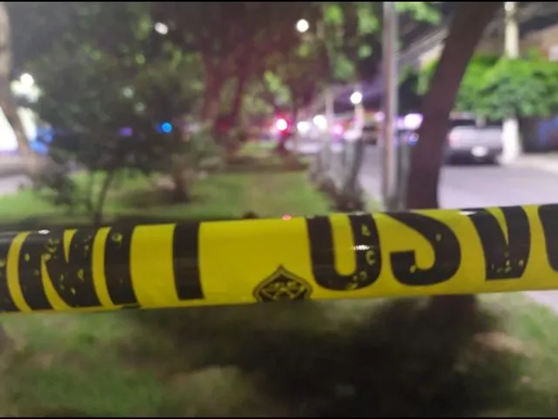 Guanajuato: Hombres armados matan a niño de 10 años y a su perro