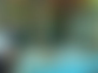 Llama Nilton Valladares a votar 4 veces por PRD