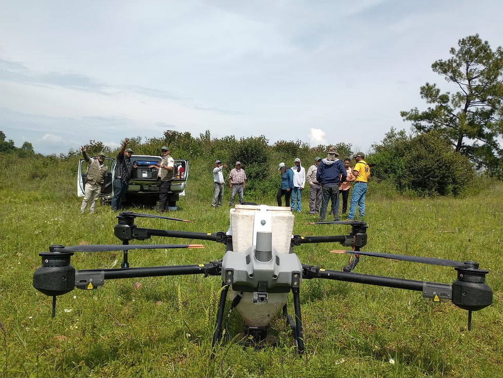 Michoacán rebasa su meta al dispersar 204 mil semillas con tecnología de drones