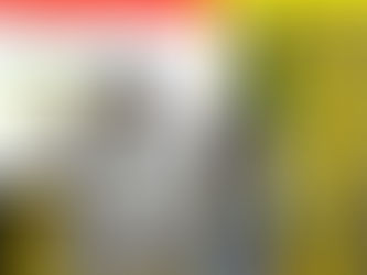 Con la revolución amarilla, pintaremos todo el estado: PRD Michoacán