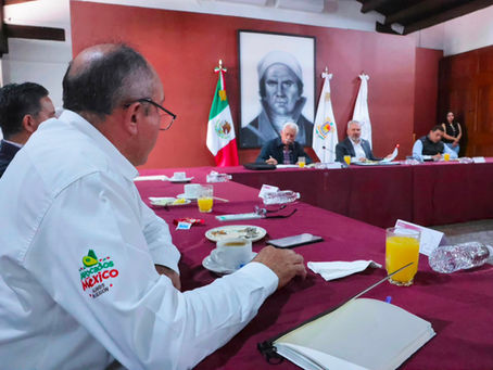 Bedolla y Apeam trazan ruta ambiental, de sanidad y seguridad para el aguacate  
