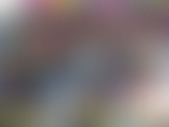 Con más de 900 productos michoacanos, arrancó el Festival del Dulce y la Artesanía en Morelia