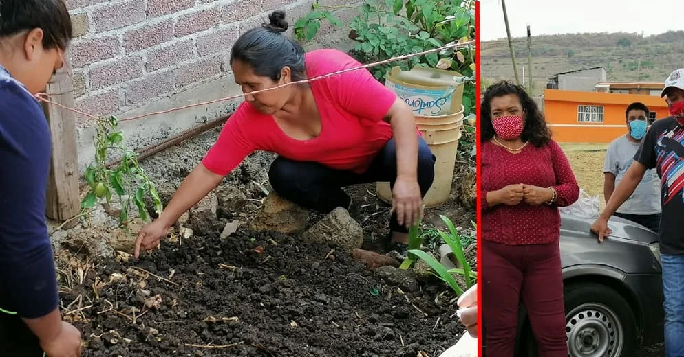 María Chávez impulsa huertos de traspatio para enfrentar las carencias económicas por covid-19