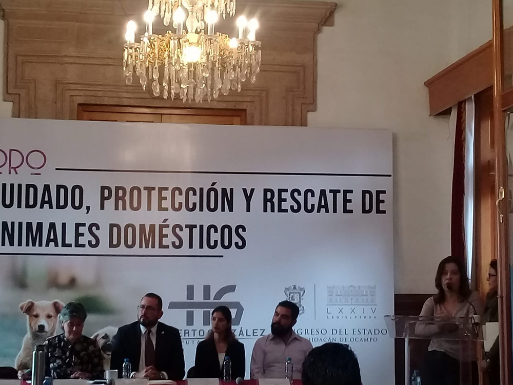 Con el 1er Foro estatal de Michoacán en cuidado de animales, se garantiza la protección y su rescate