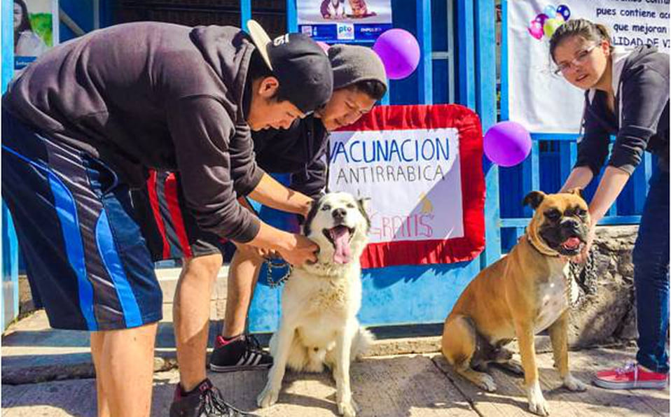 ¿Tienes mascota? Aprovecha la campaña de vacunación antirrábica en Acámbaro