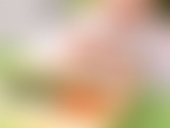 Acusan a pareja vegetariana de dejar morir a su hija de 3 años, solo consumía yogurt, mantequilla y lentejas