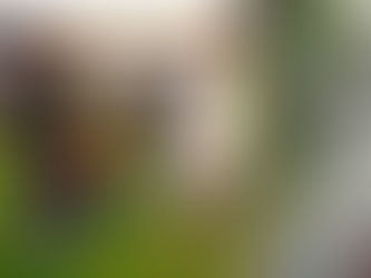 Riña entre aficionados de Querétaro y Atlas provoca decenas de heridos en el Estadio Corregidora