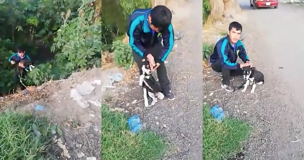 VIDEO: Sujeto ata a perro y lo lanza a río en Edomex; vecino lo obliga a rescatarlo