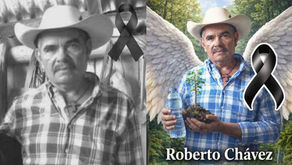 Tras denunciar la tala ilegal en Villa Madero, Michoacán, ejecutan al defensor ambiental Roberto Chávez Bedoya