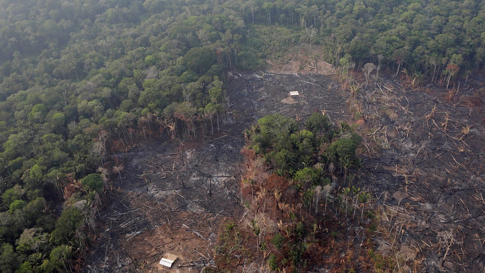 Incendio del Amazonas equivale a 3 veces la CDMX