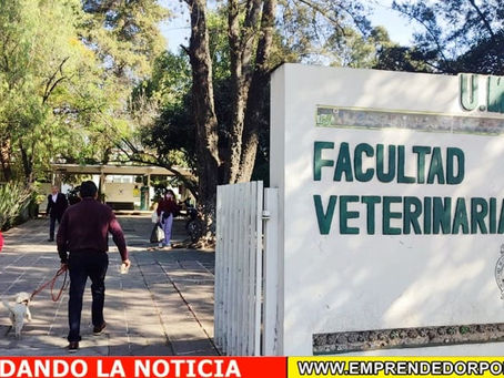 Facultad de Veterinaria de la UMSNH cumple hoy 56 años de historia
